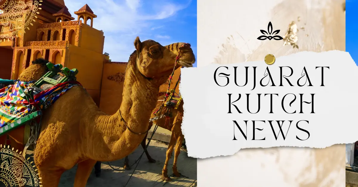 gujarat kutch news
